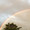 Over-the-rainbow