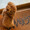 yuppe0131