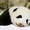mimichelin
