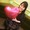 sachi94638