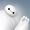 いずくん.k