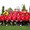 HIROPPE0141