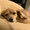 ユーザーのアイコン画像