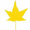 une feuille