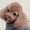 アスティ（犬）
