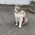 れーぶ1003