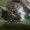 ねこかもめ