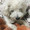 ユーザーのアイコン画像