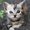 ユーザーのアイコン画像