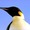 pengo2004