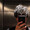 t_kosuke