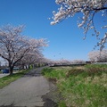 masami1213