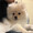 ばーたーちゃん