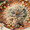 cocomaru78