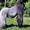 hirok622846