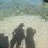 pippo2