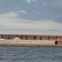 kumachan89