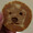 ユーザーのアイコン画像