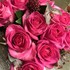 rose0926