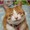 ユーザーのアイコン画像