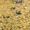 atam7890