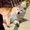 ふじもふもふ