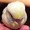 ゆんぱっと