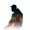 john_toffler