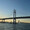 ぶたこ94247