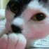 しろかぜ01
