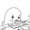 迷子のごまふあざらし