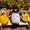 shinchan33