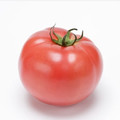 転勤族tomato