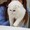 ユーザーのアイコン画像