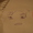 まなびそ