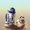 R2D20316