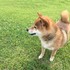 ヒロ120651