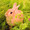うさっこまろん