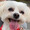 mico3587
