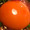 shabe756