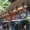 imomushi_music