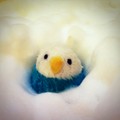 ごーぢ
