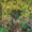 sakam765833