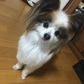 yumii475