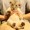 ユーザーのアイコン画像