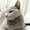 くまねこ0327