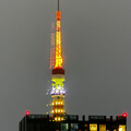 araigumakun