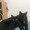 387847_tetora