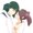 ミギガワニコガネムシ