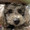 ユーザーのアイコン画像